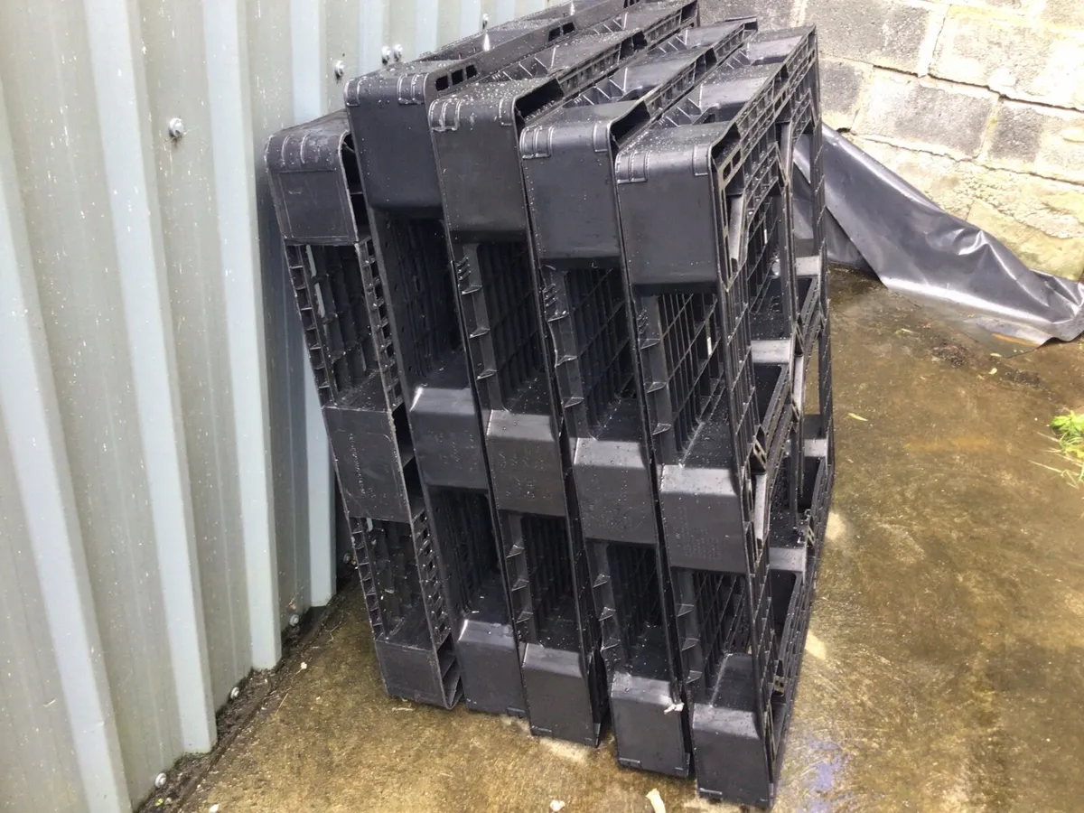 Plastic Pallets X 5 - Image 4