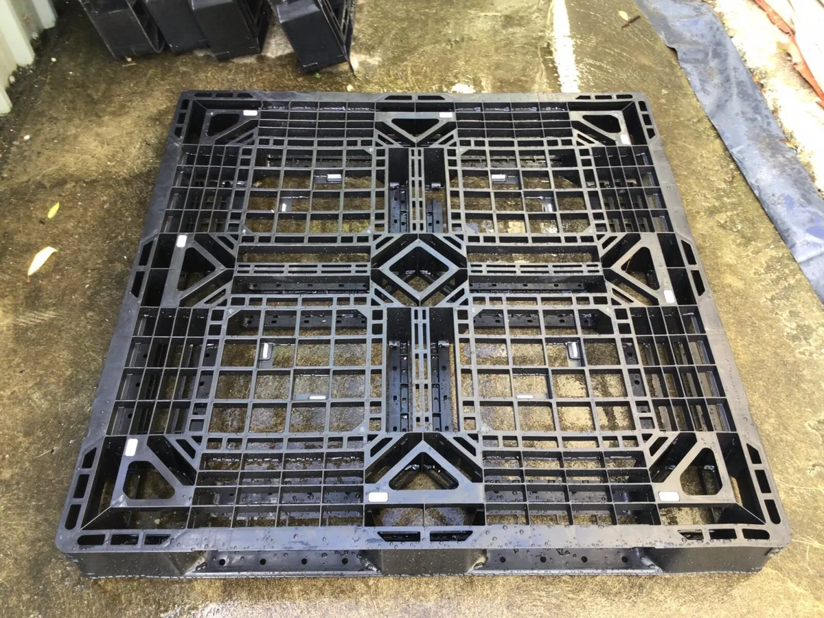 Plastic Pallets X 5 - Image 1