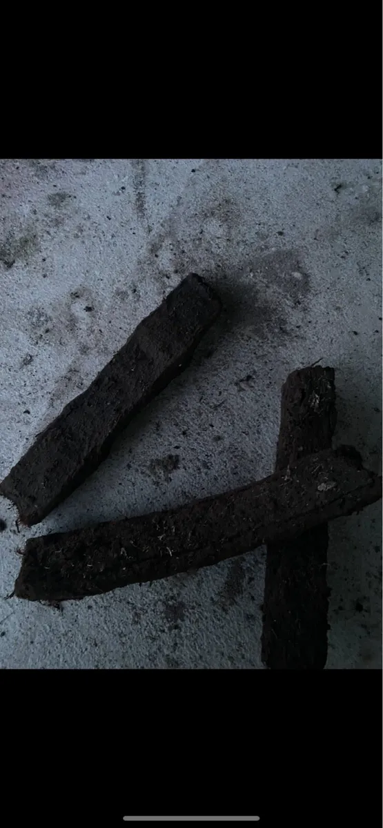 Fuel - Image 3