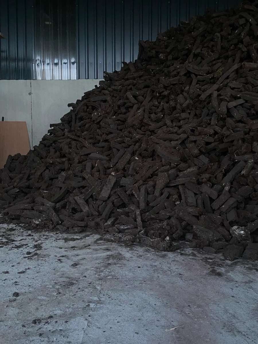 Fuel - Image 4