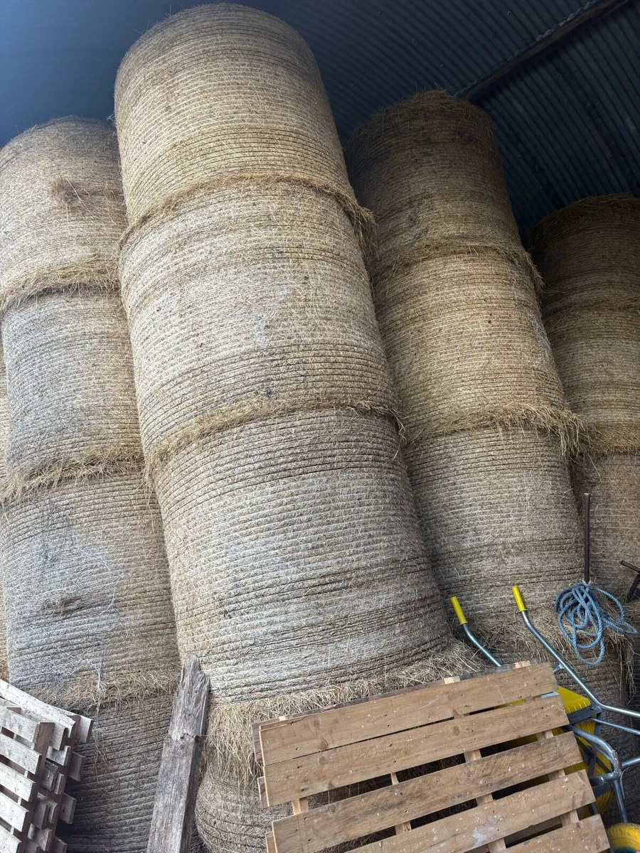 Hay and silage - Image 3