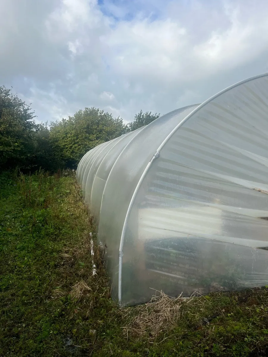 Poly Tunnel 30ft - Image 1