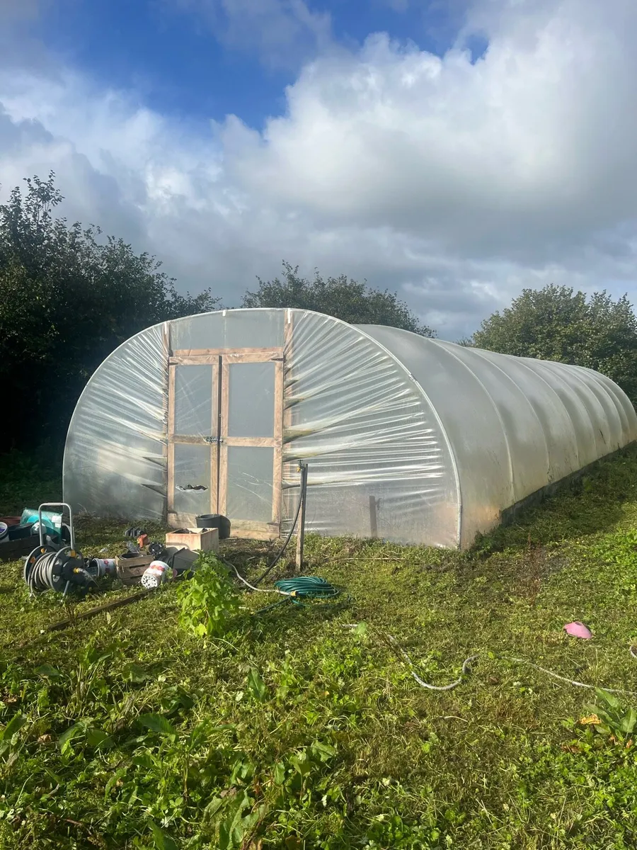 Poly Tunnel 30ft - Image 2