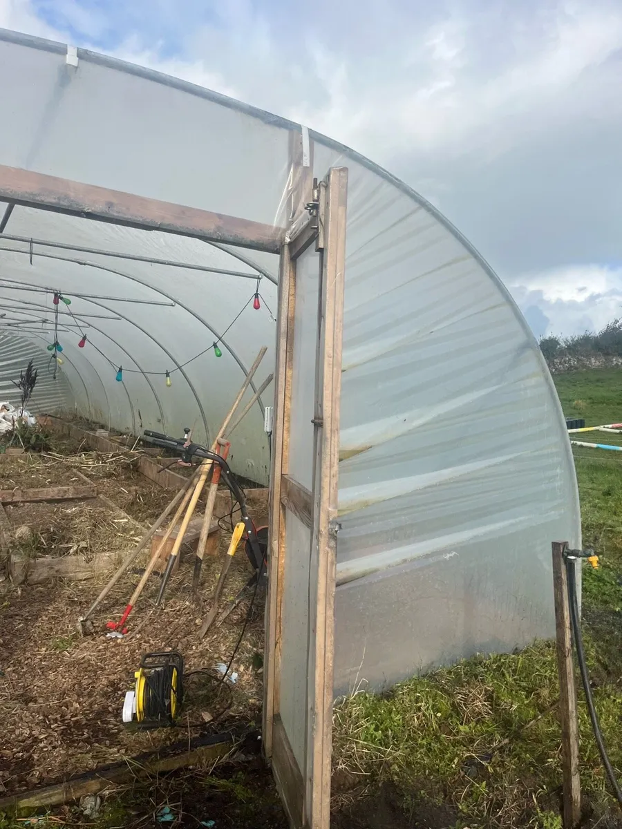Poly Tunnel 30ft - Image 3