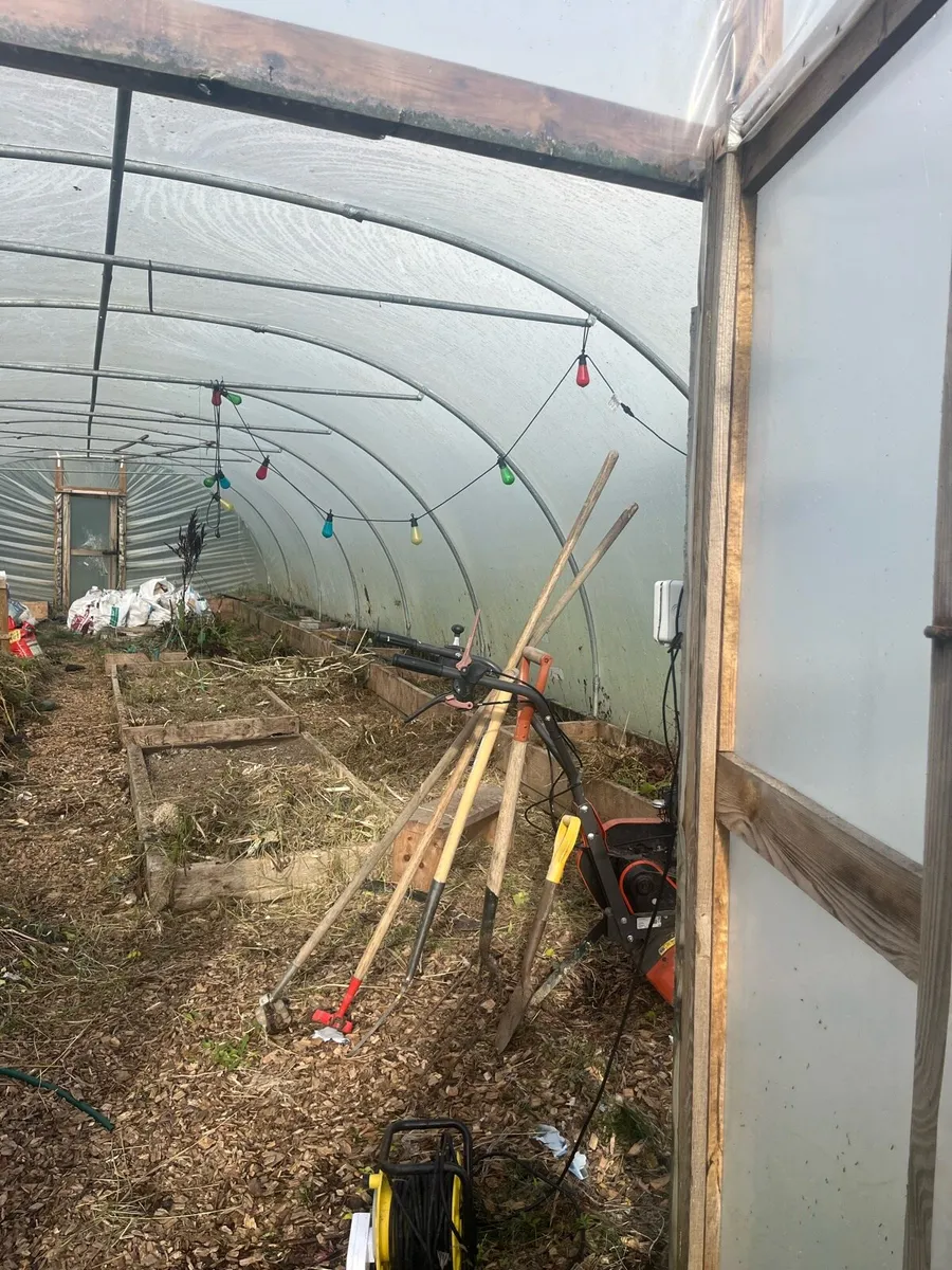 Poly Tunnel 30ft - Image 4