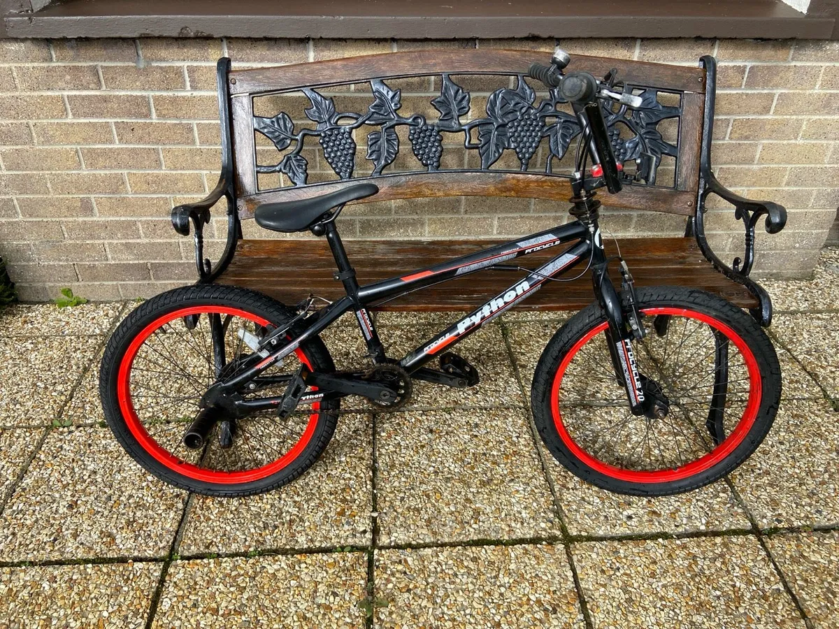 Python. 20. Inch. BMX. Bike - Image 1