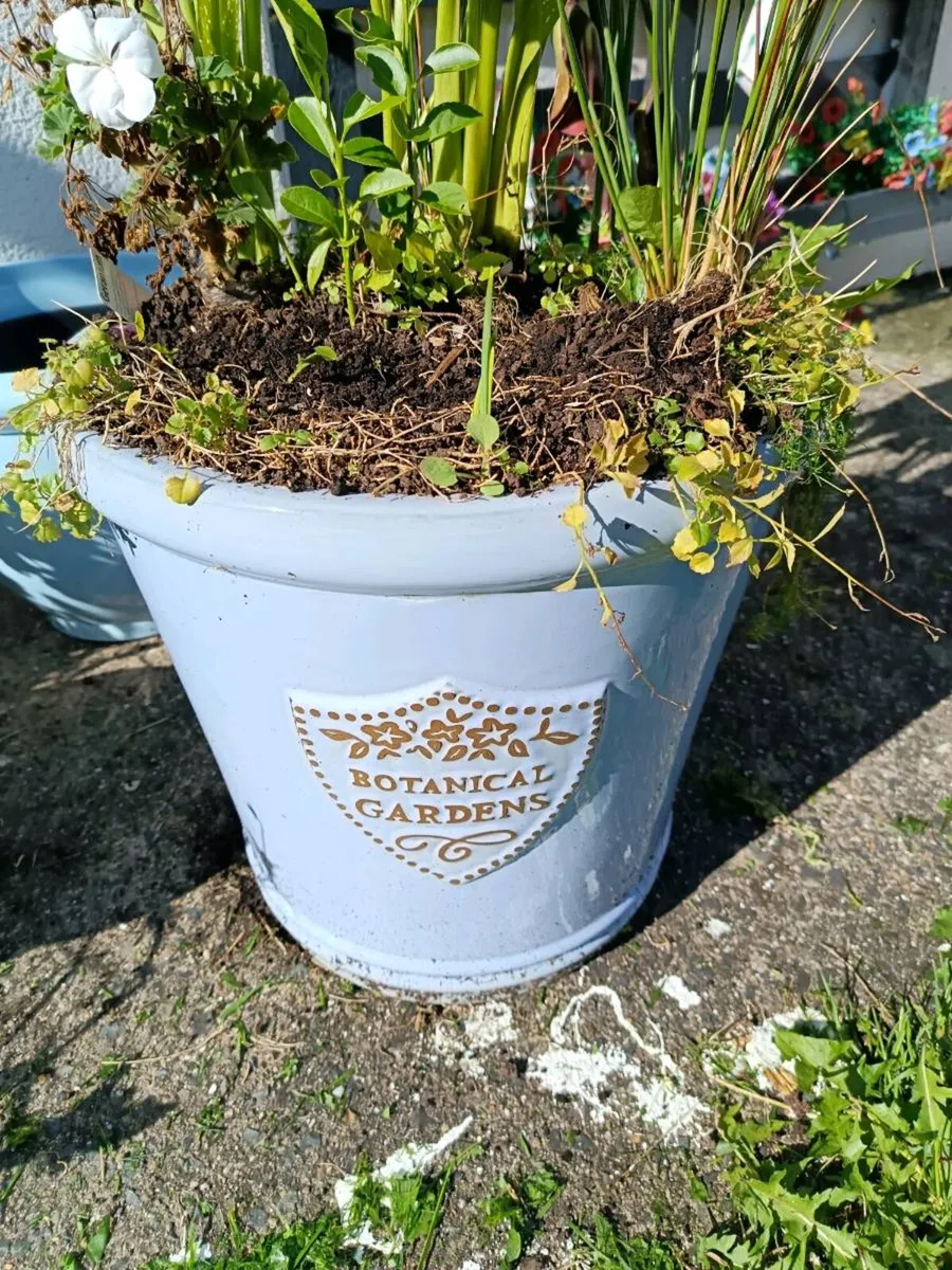 Plant pot - Image 2