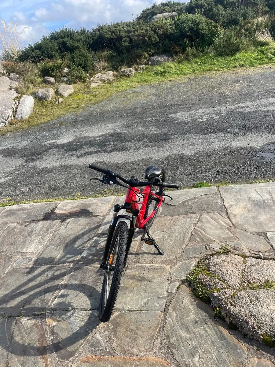 Kids mountain bike - Image 2