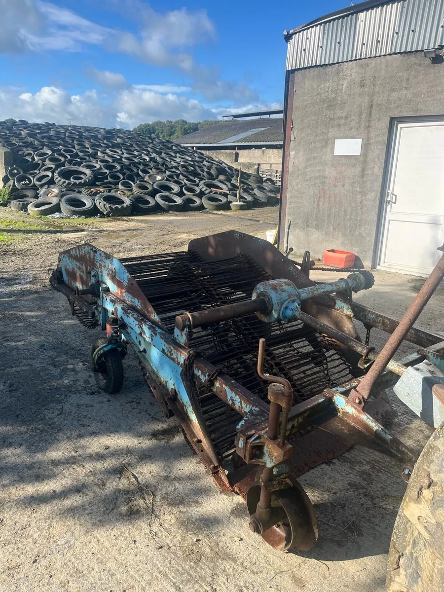 Ransomes chain Digger 2 Row - Image 1