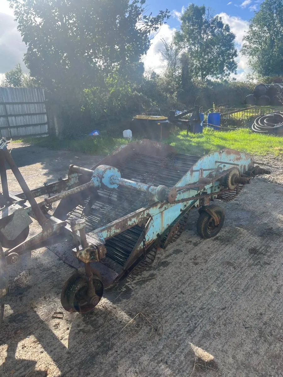 Ransomes chain Digger 2 Row - Image 2