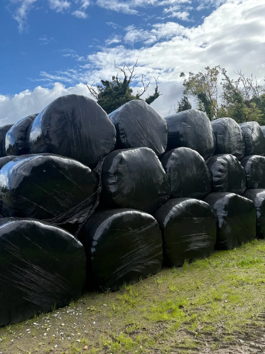 Hay and silage - Image 2