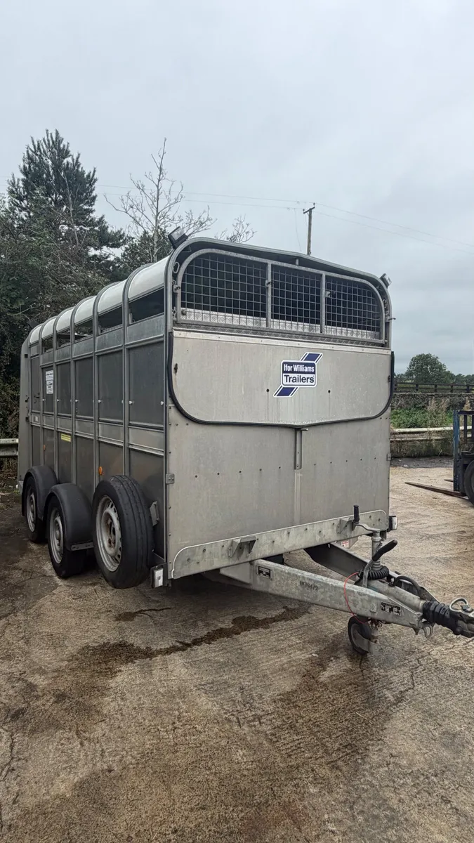 Ifor Williams 12ft livestock Trailer - Image 2