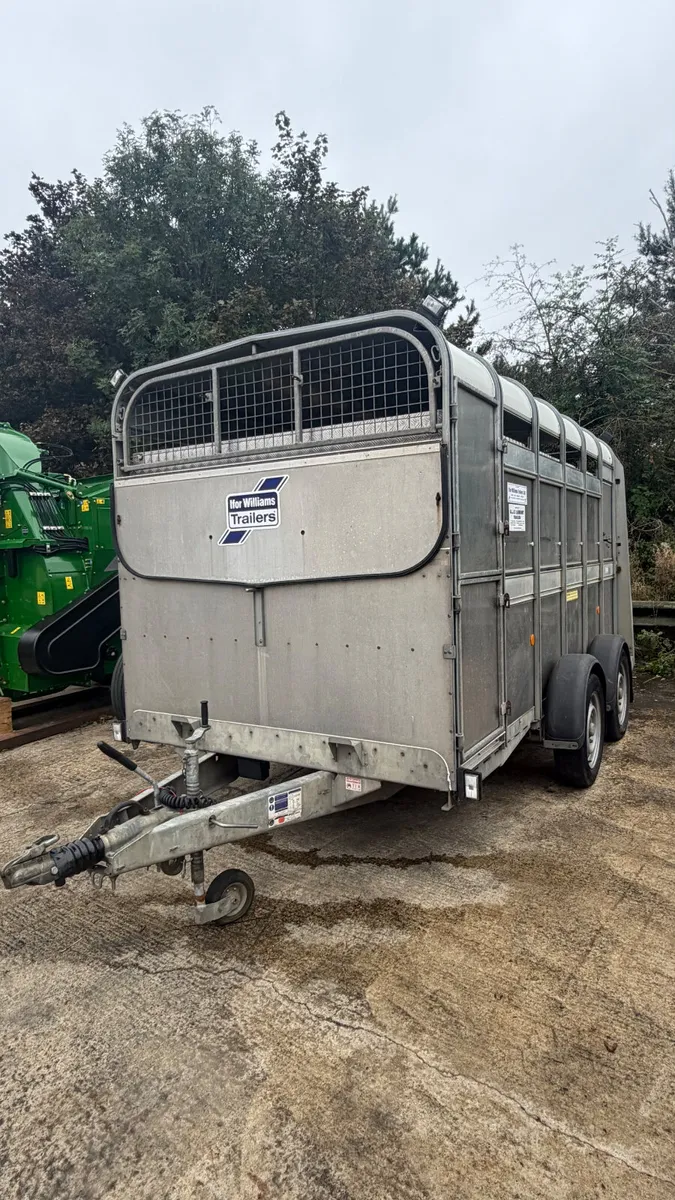 Ifor Williams 12ft livestock Trailer - Image 1