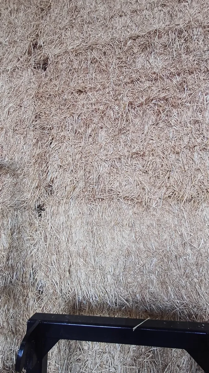 Straw - Image 1