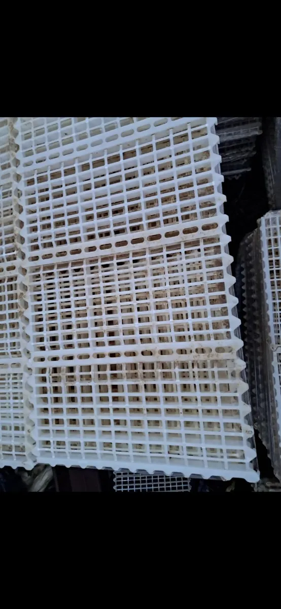 Hen House Slats - Image 1
