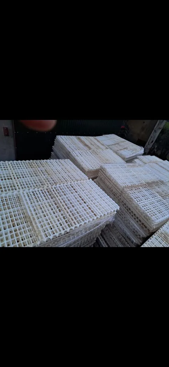 Hen House Slats - Image 3