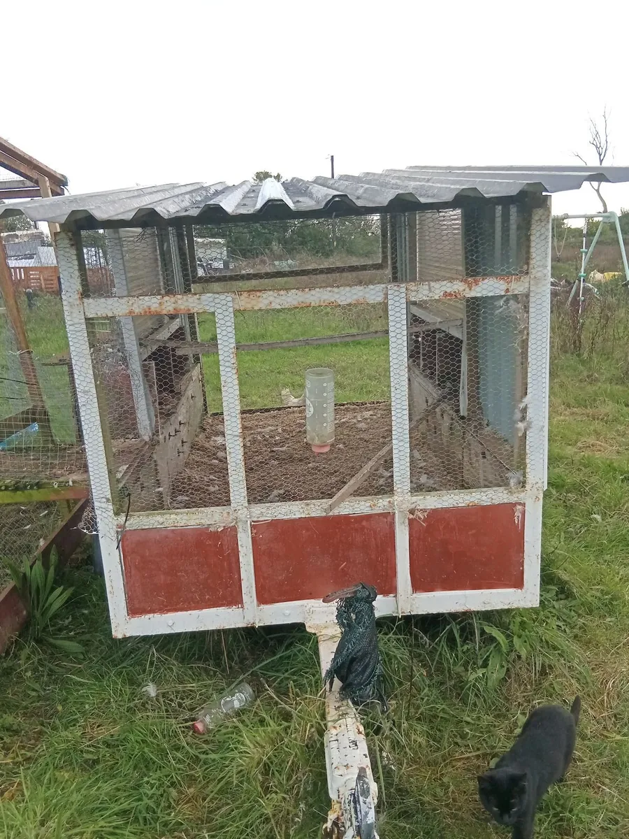 Chicken coop - Image 2
