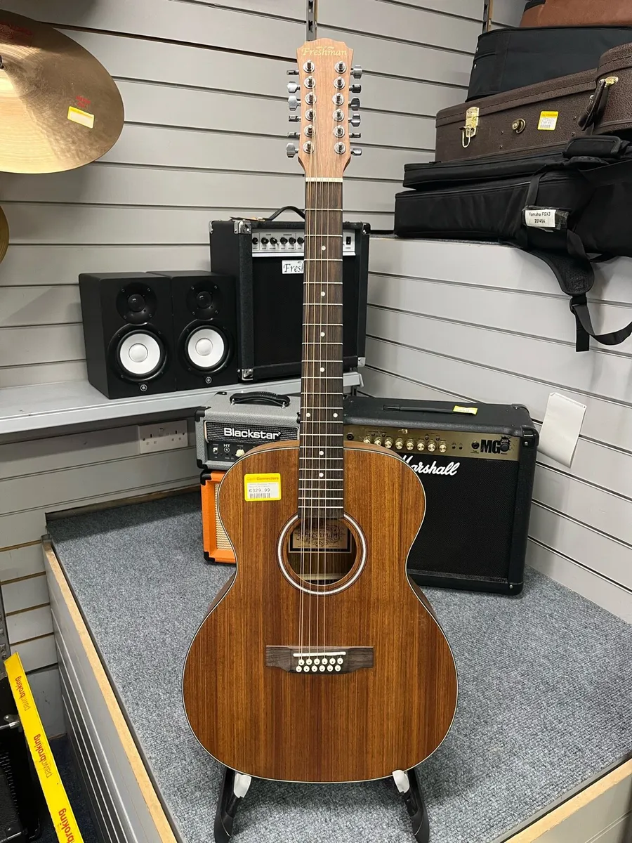 Freshman Wal012 12 string Acoustic Guitar - Image 1