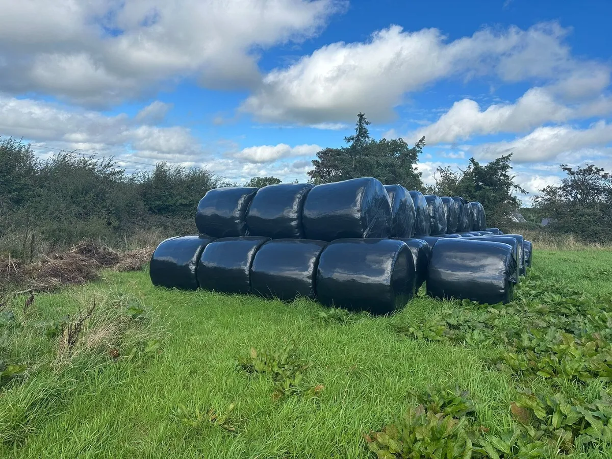 Silage Bales - Image 3
