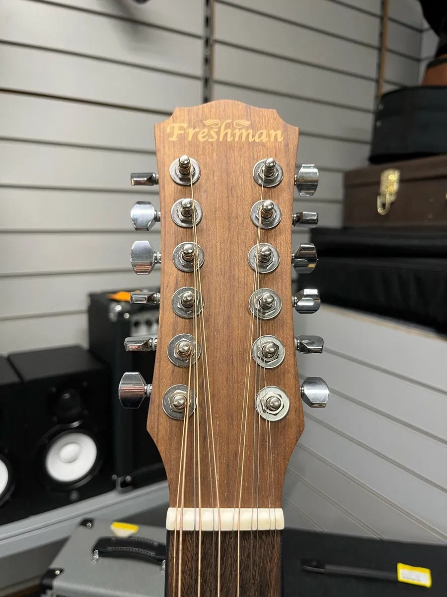 Freshman Wal012 12 string Acoustic Guitar - Image 3