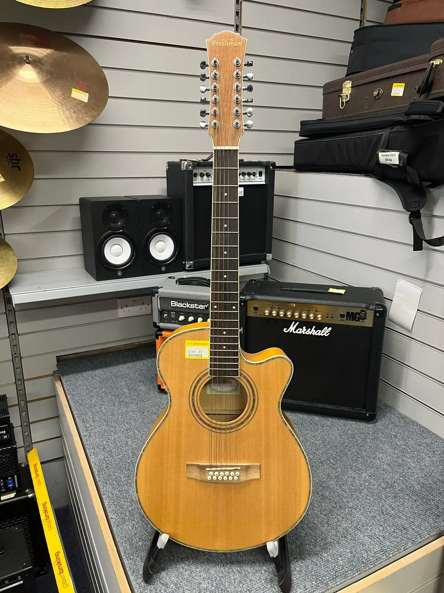 Freshman FA1AM12 12 String Semi Acoustic Guitar - Image 1