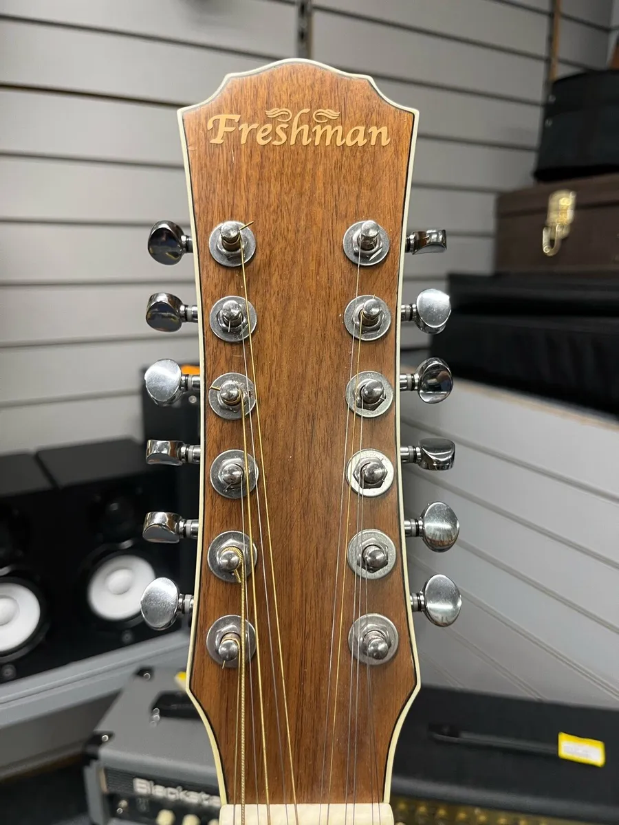 Freshman FA1AM12 12 String Semi Acoustic Guitar - Image 3