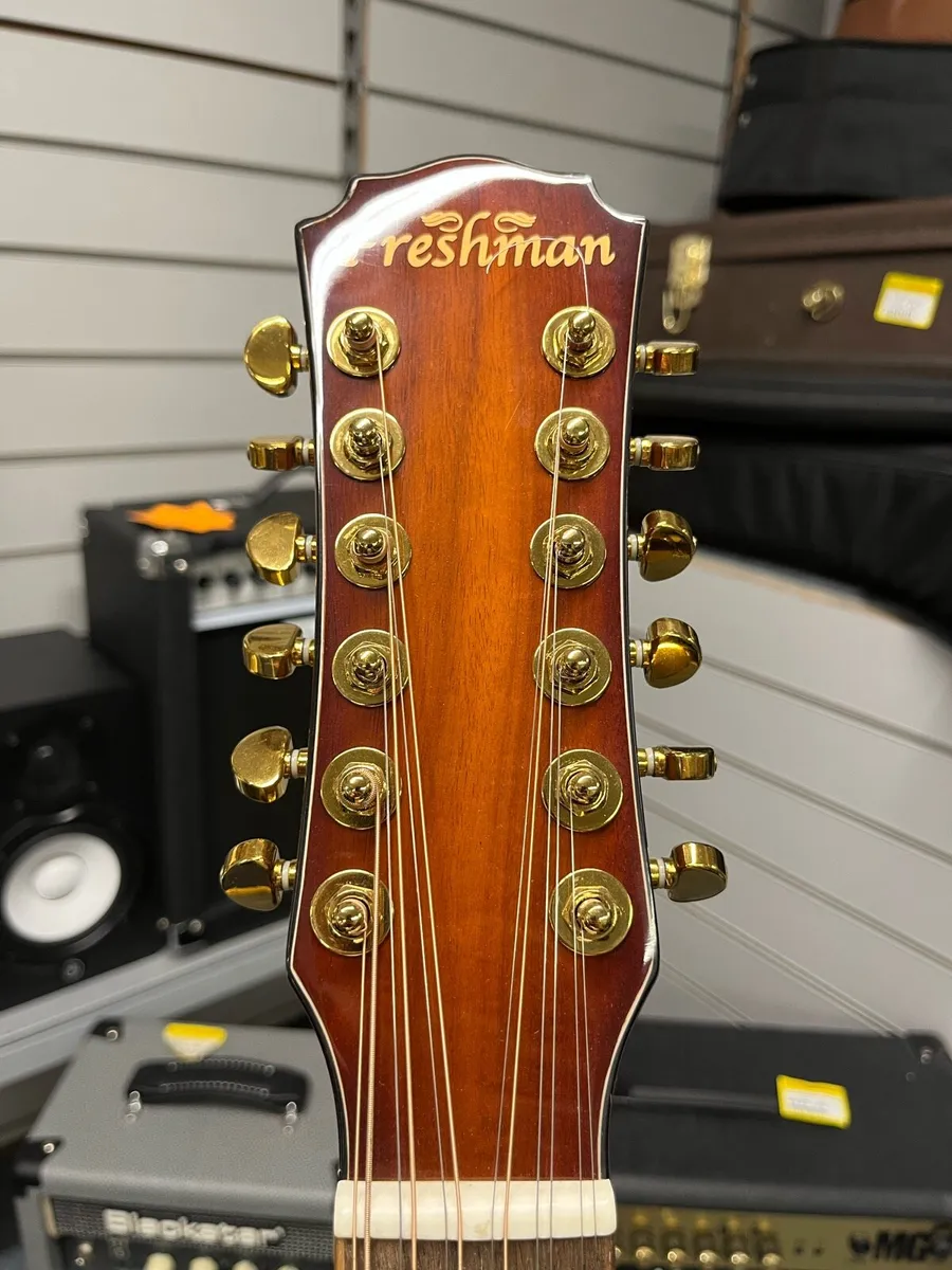 Freshman AG210561 12 String Semi Acoustic Guitar - Image 3