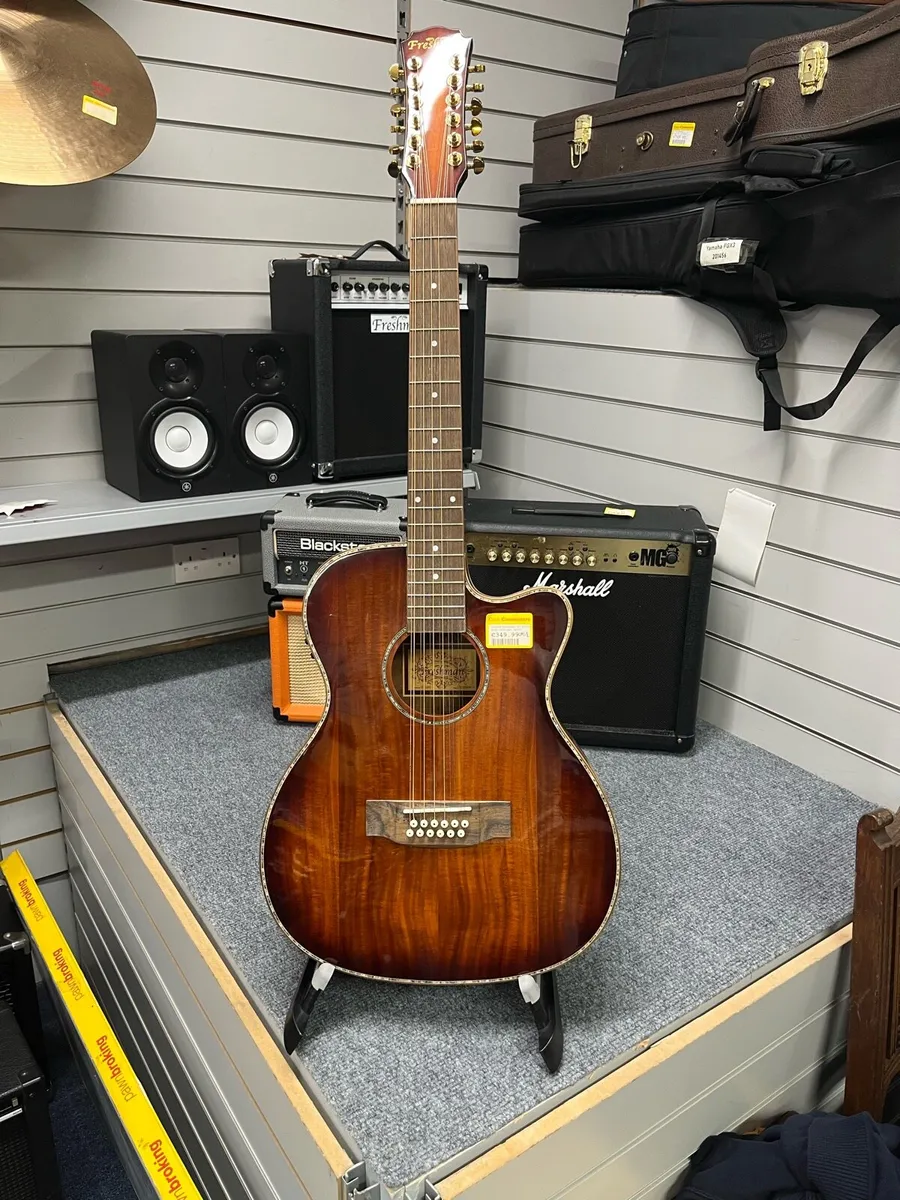 Freshman AG210561 12 String Semi Acoustic Guitar - Image 1