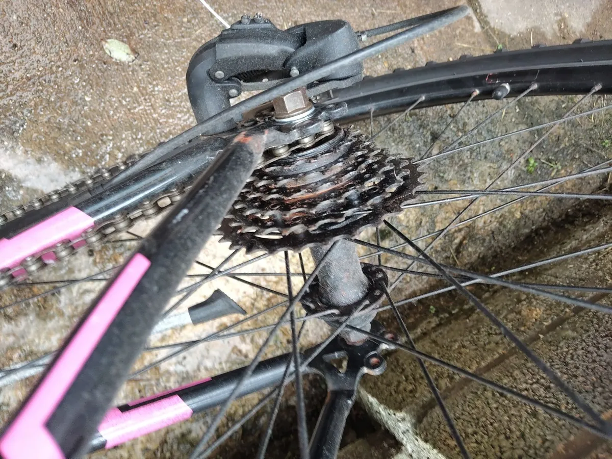 Ladies girl bike - Image 3