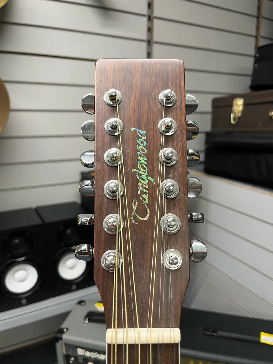 Tanglewood 12 String Semi Acoustic Guitar - Image 3