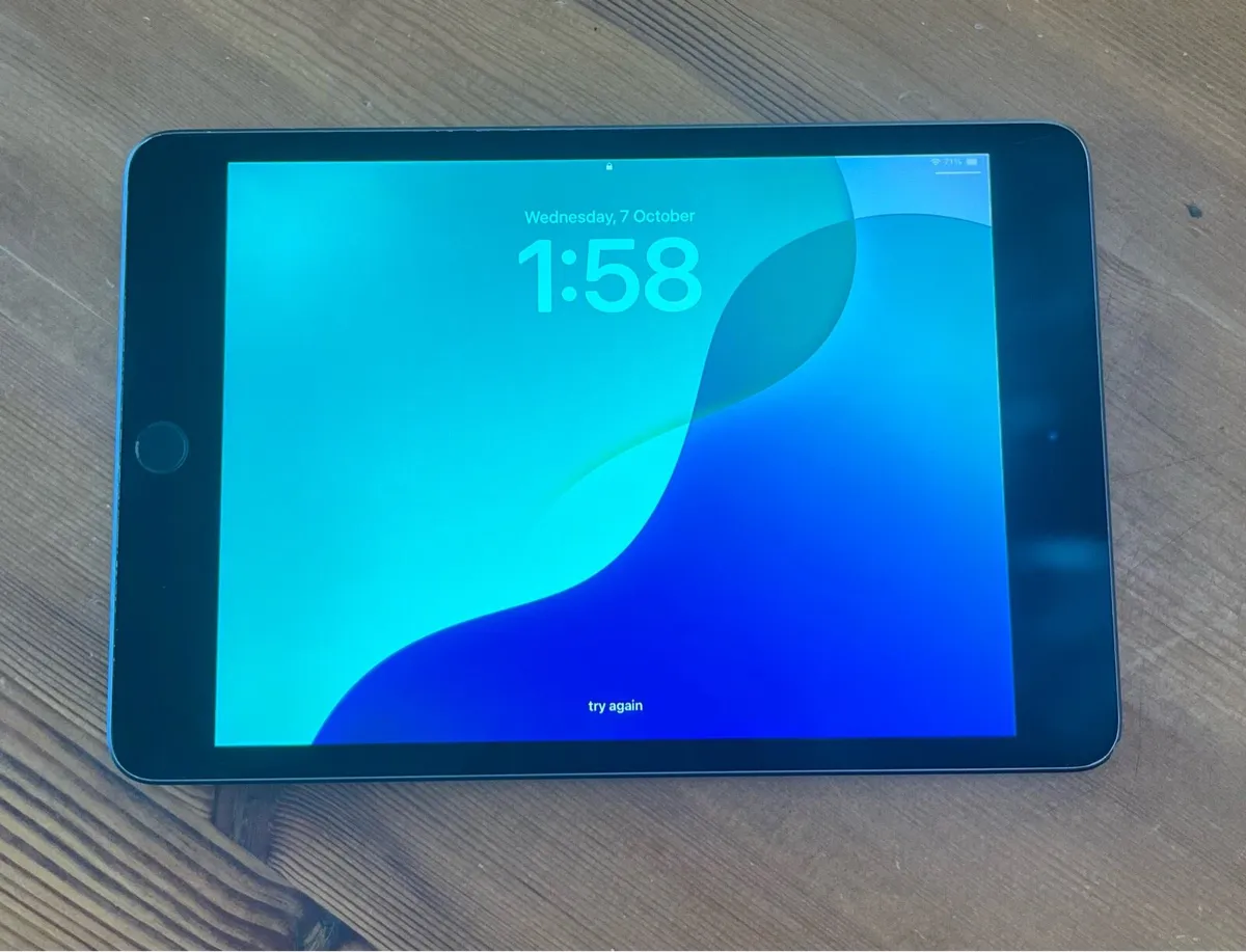 iPad mini 5th Gen 64GB Wi-Fi, Excellent Condition - Image 4
