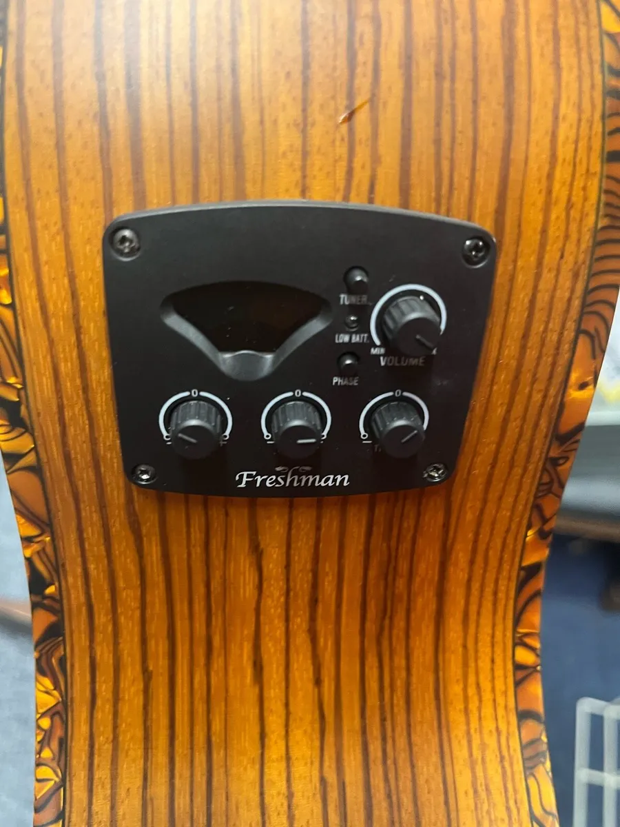 Freshman FALTD24 Semi Acoustic Guitar - Image 4