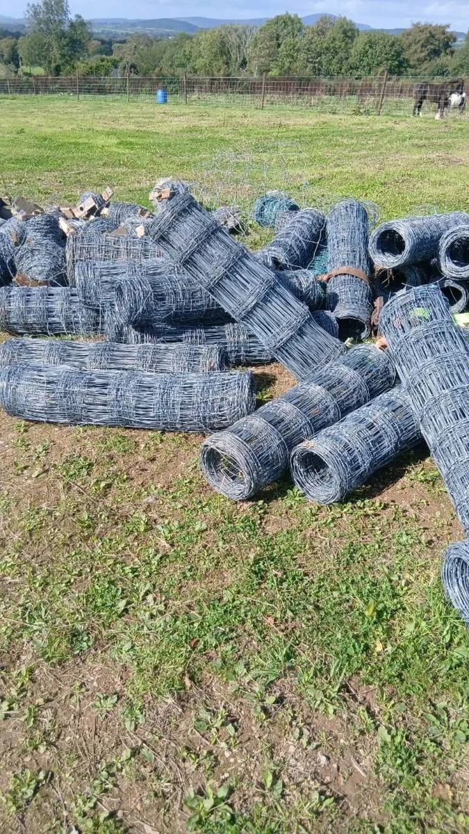 Rolls of  wire 6ft 100me - Image 4