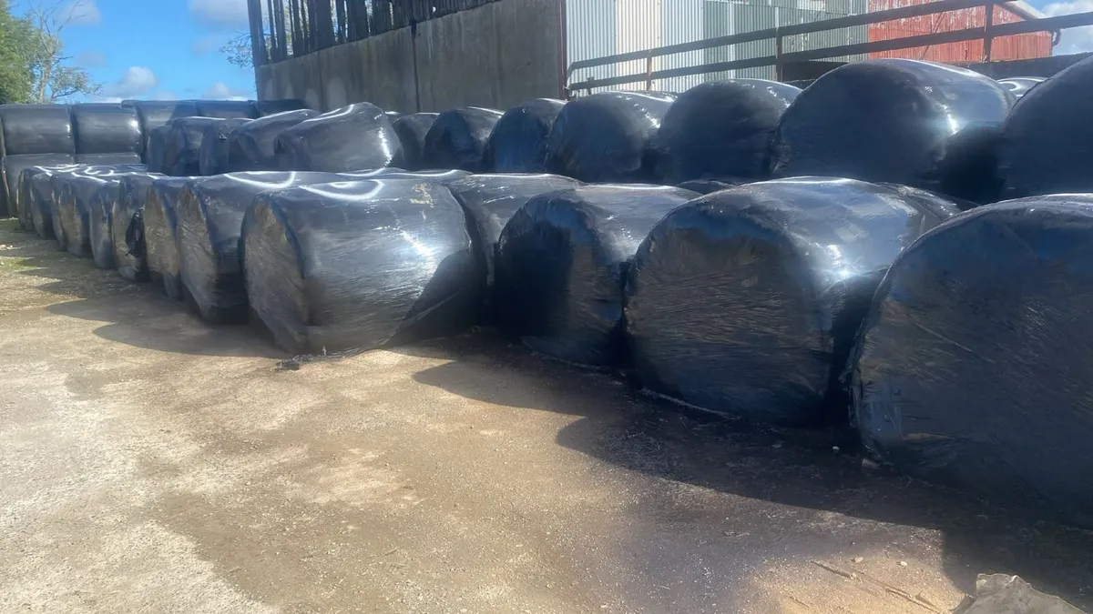 Silage Bales - Image 1