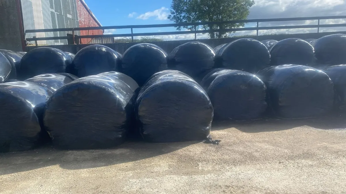 Silage Bales - Image 2