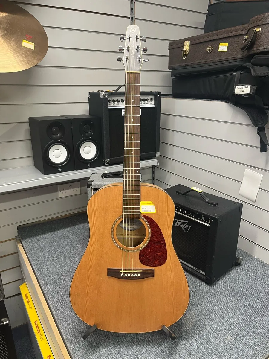 Seagull S6 Qi Semi acoustic guitar - Image 1