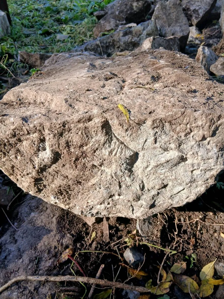 Stone - Image 1