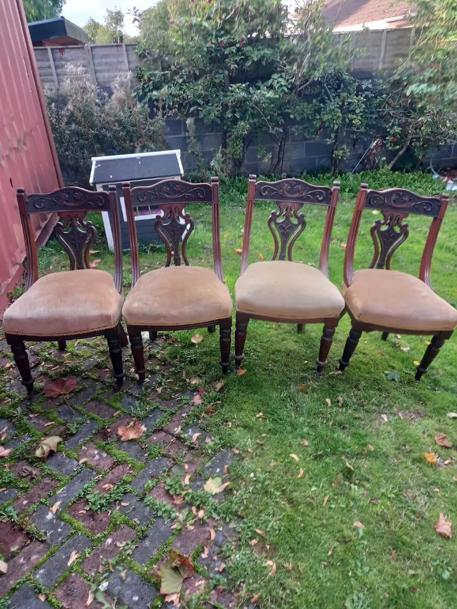 Dining chairs