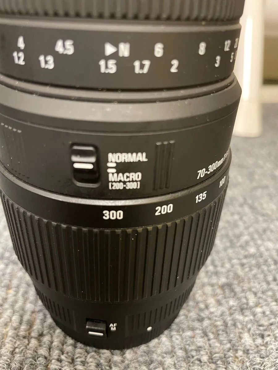 Sigma/Canon 70-300mm lens - Image 2