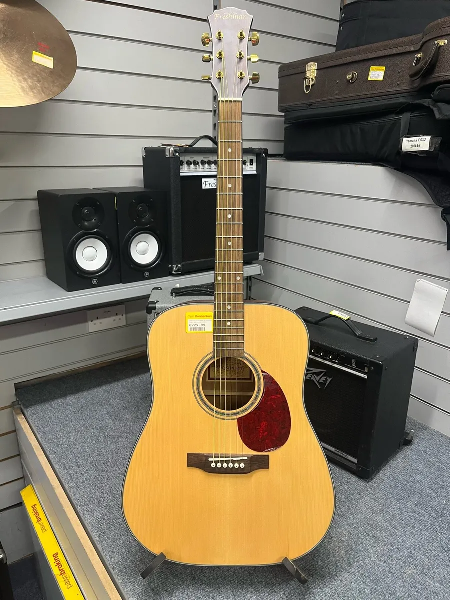 Freshman FAIDNS Acoustic Guitar - Image 1