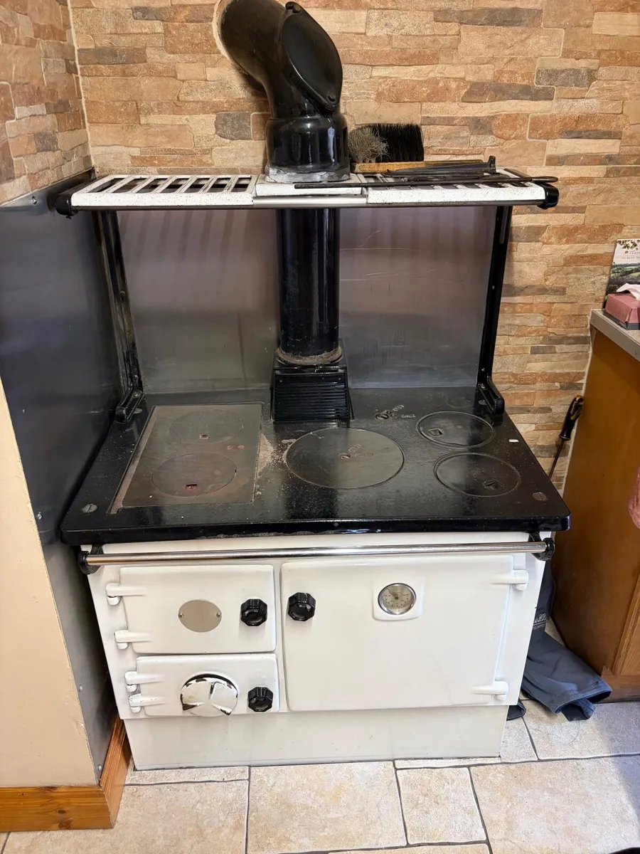 Solid fuel cooker - Image 2
