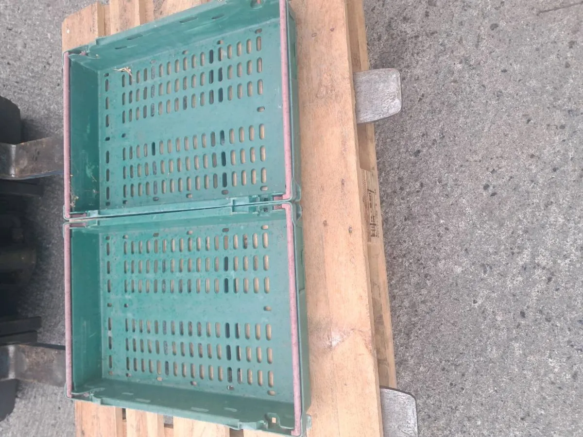 Crates - Image 2