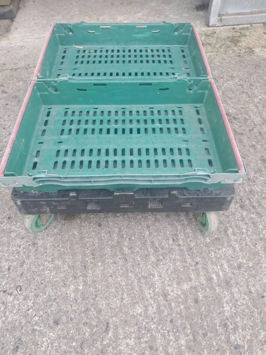 Crates - Image 3