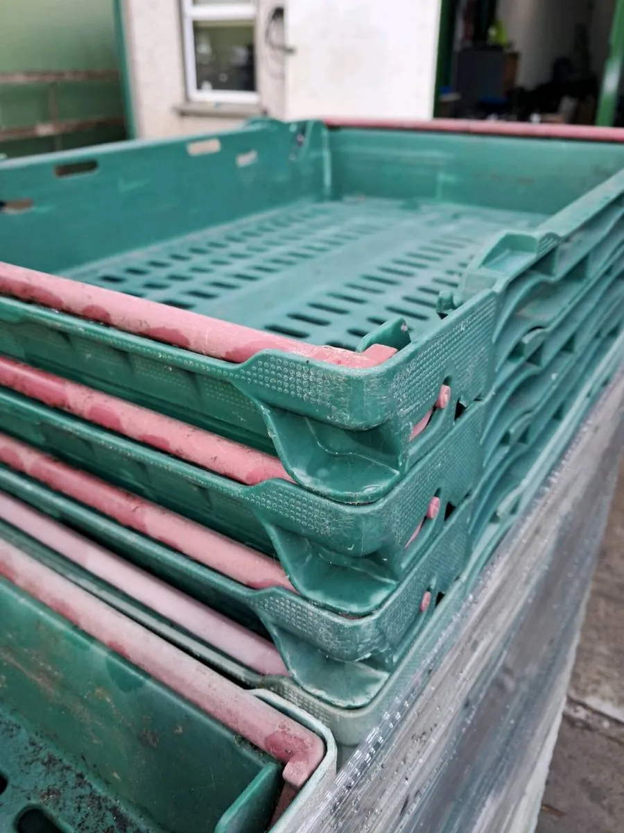 Crates - Image 4