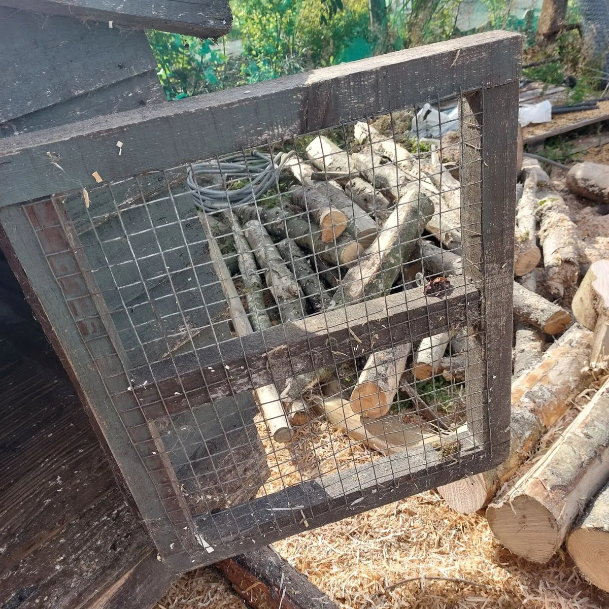 Kennel - Image 2