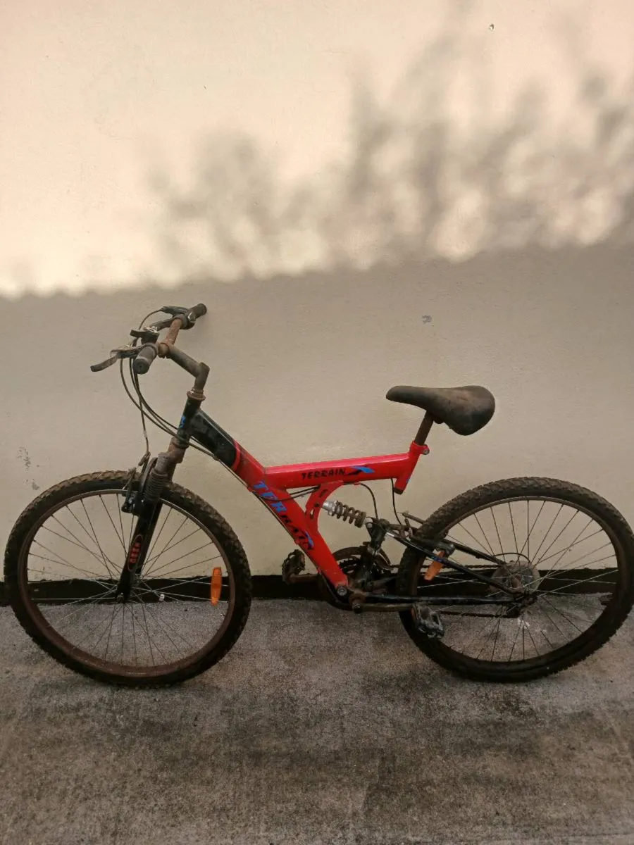 Bicycles - Image 1