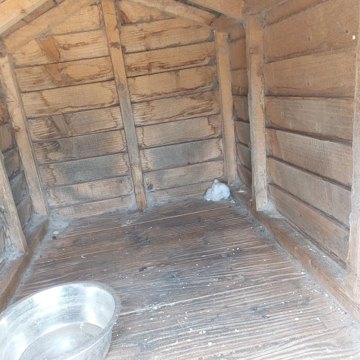 Kennel - Image 3