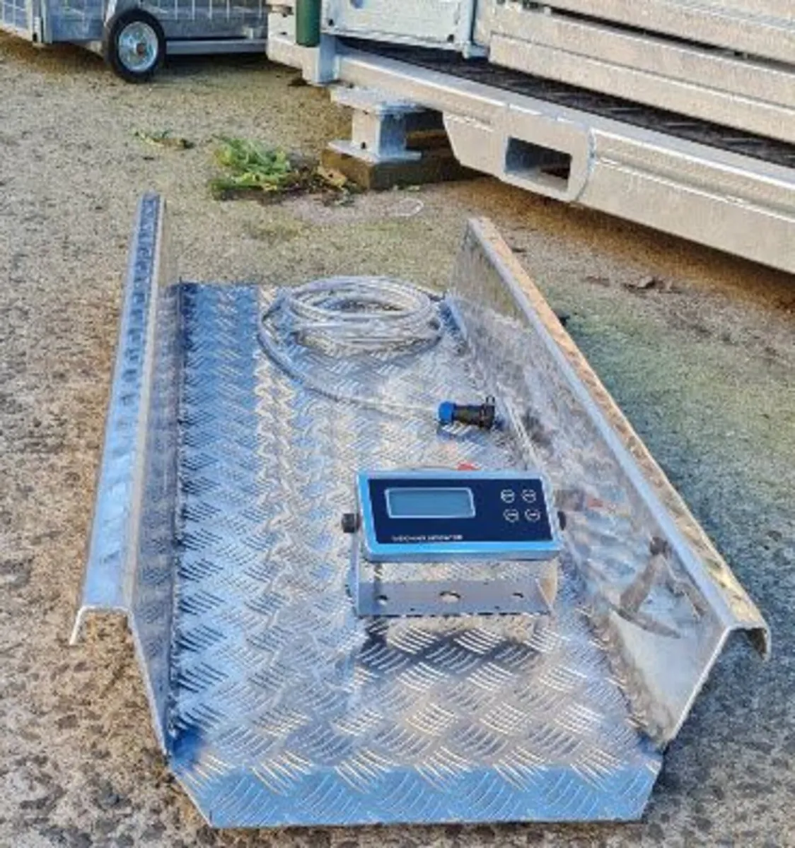 Scales for calves, sheep - Image 1