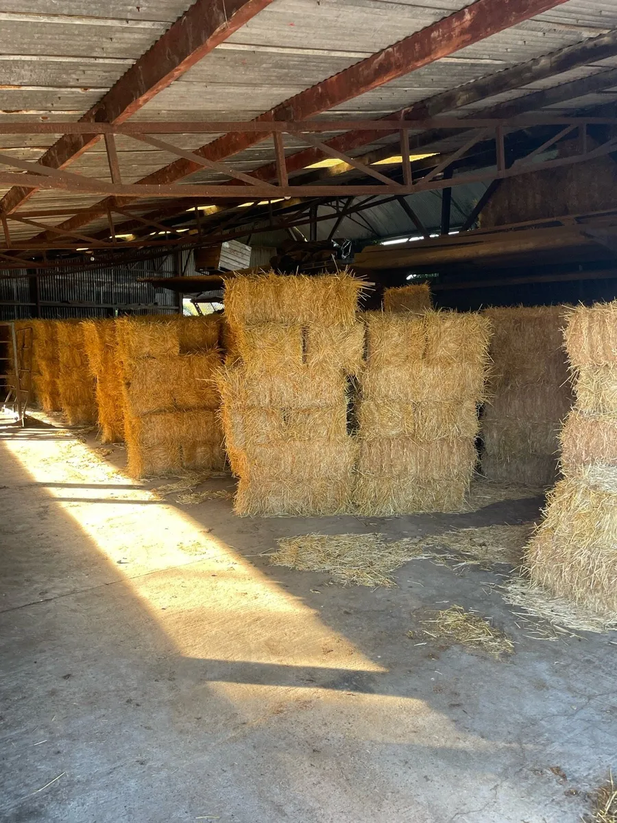 Small square straw bales - Image 3