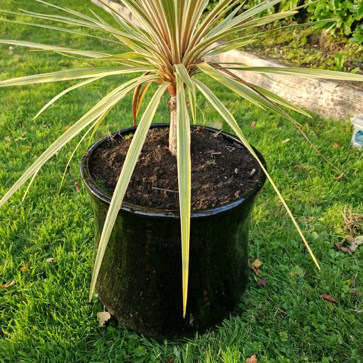 Flower Pots - Image 2